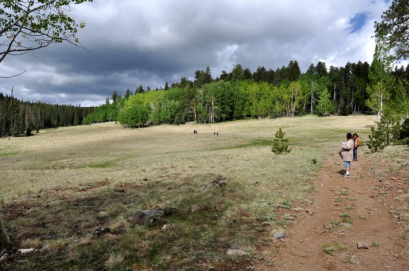 1006120847-Baldy 121.jpg